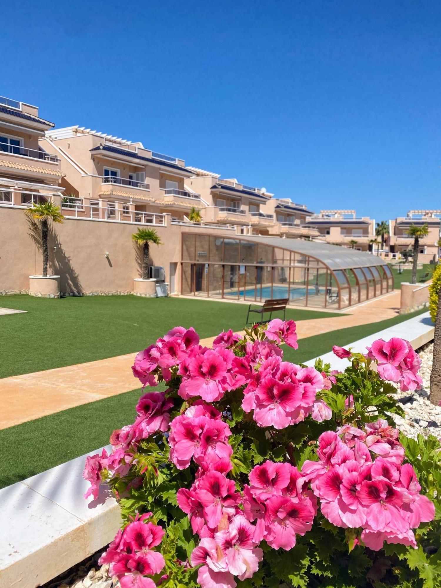 Apartments Punta Prima Indoor & Outdoor Pool 또레비에하 외부 사진